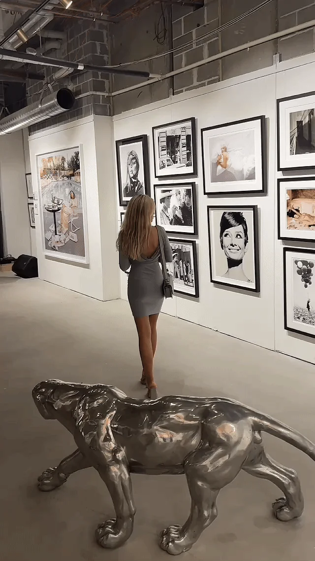 Carousel GIF